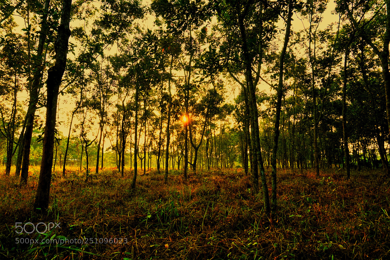 Sony a6300 sample photo. Sunset photography