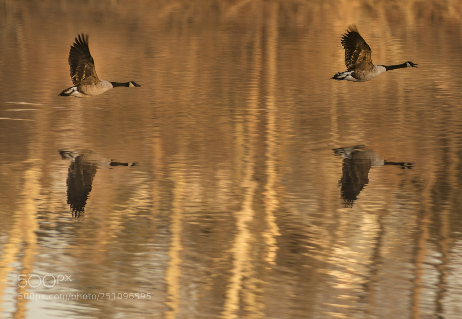 Nikon D800E sample photo. Tag your it photography