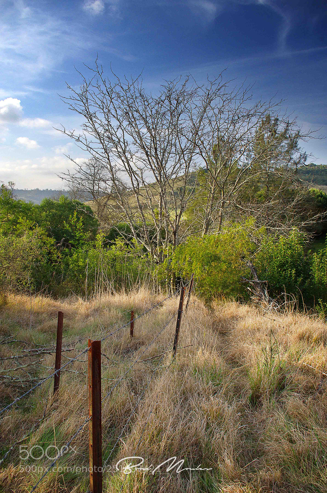 Pentax K-x sample photo. ‘above the creek’ photography