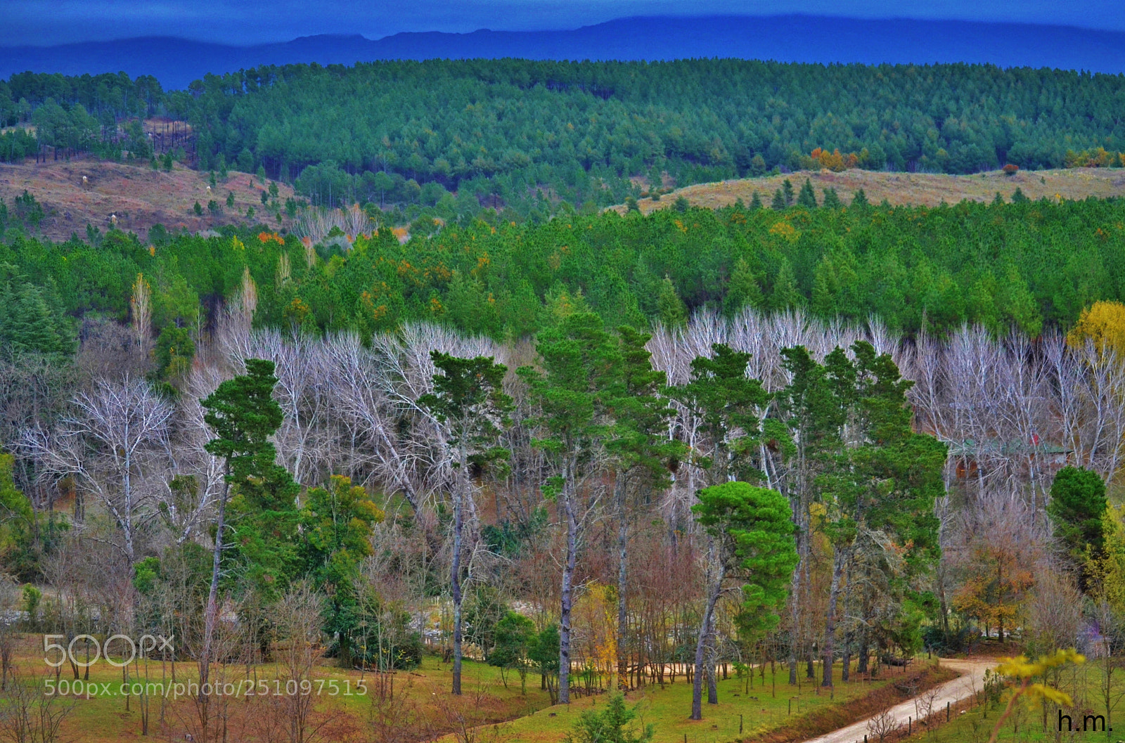 Nikon D3100 sample photo. Ecao photography