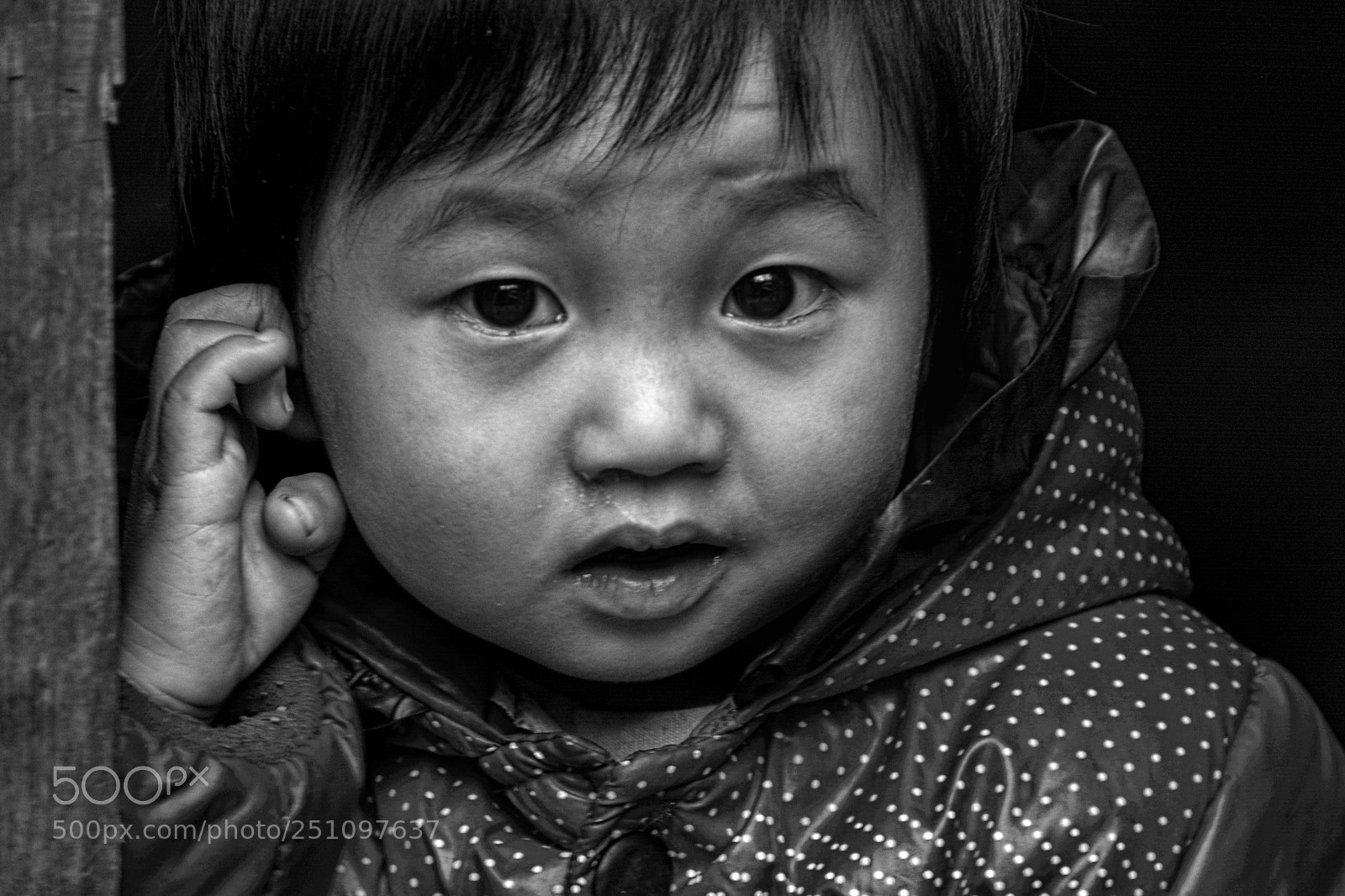 Nikon D5200 sample photo. Cute photography