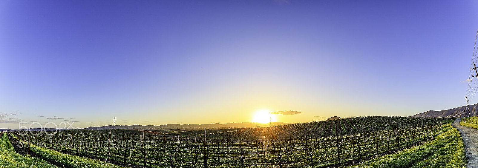 Canon EOS 5D Mark IV sample photo. Edna valley lazy afternoon photography