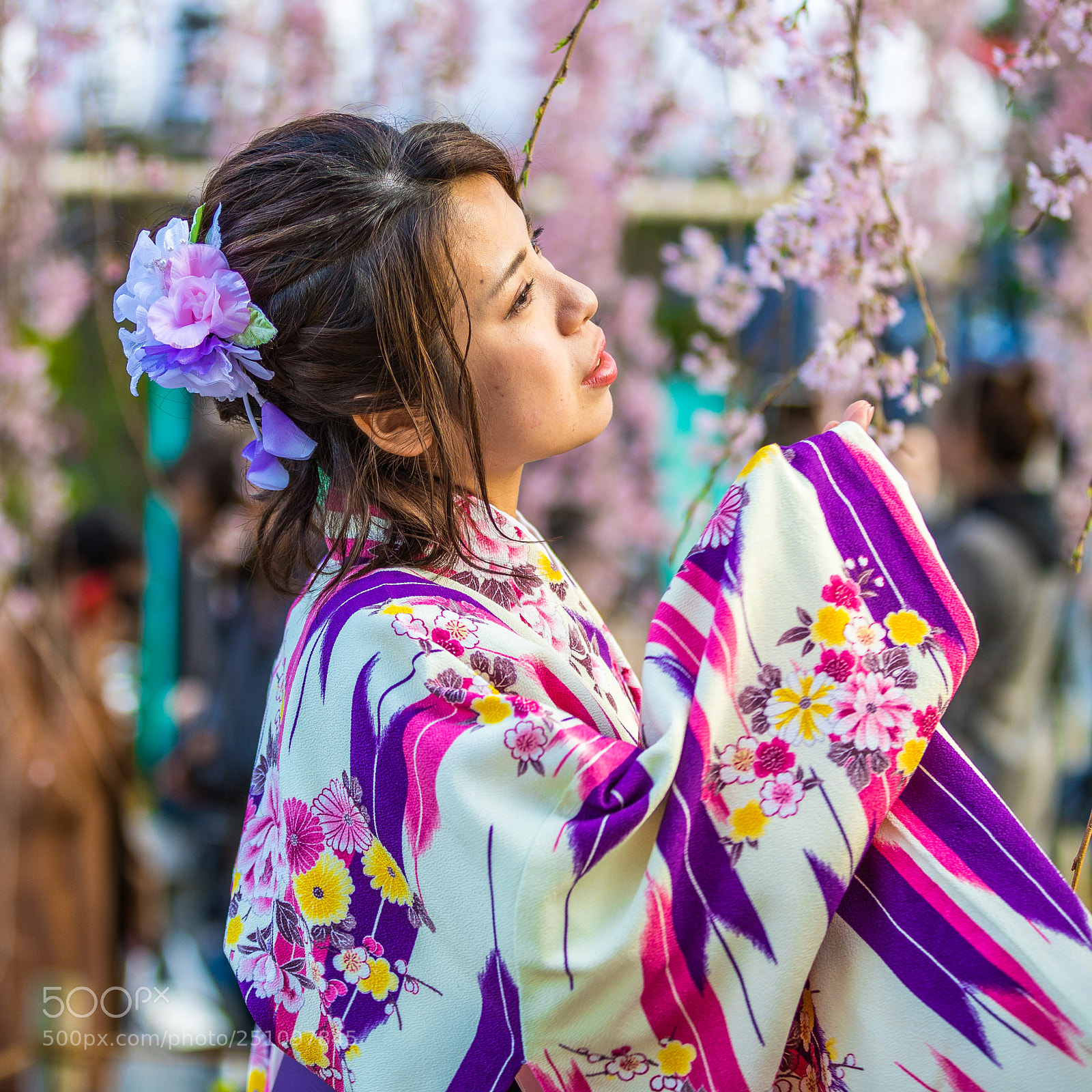 Canon EOS 5D Mark IV sample photo. D photography