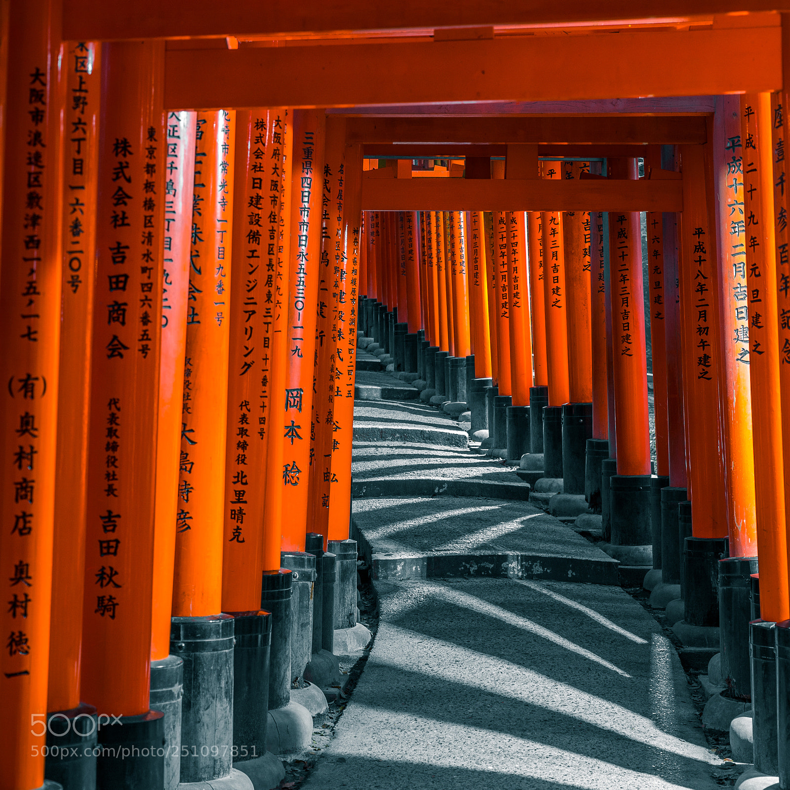 Canon EOS-1D X Mark II sample photo. Dx photography
