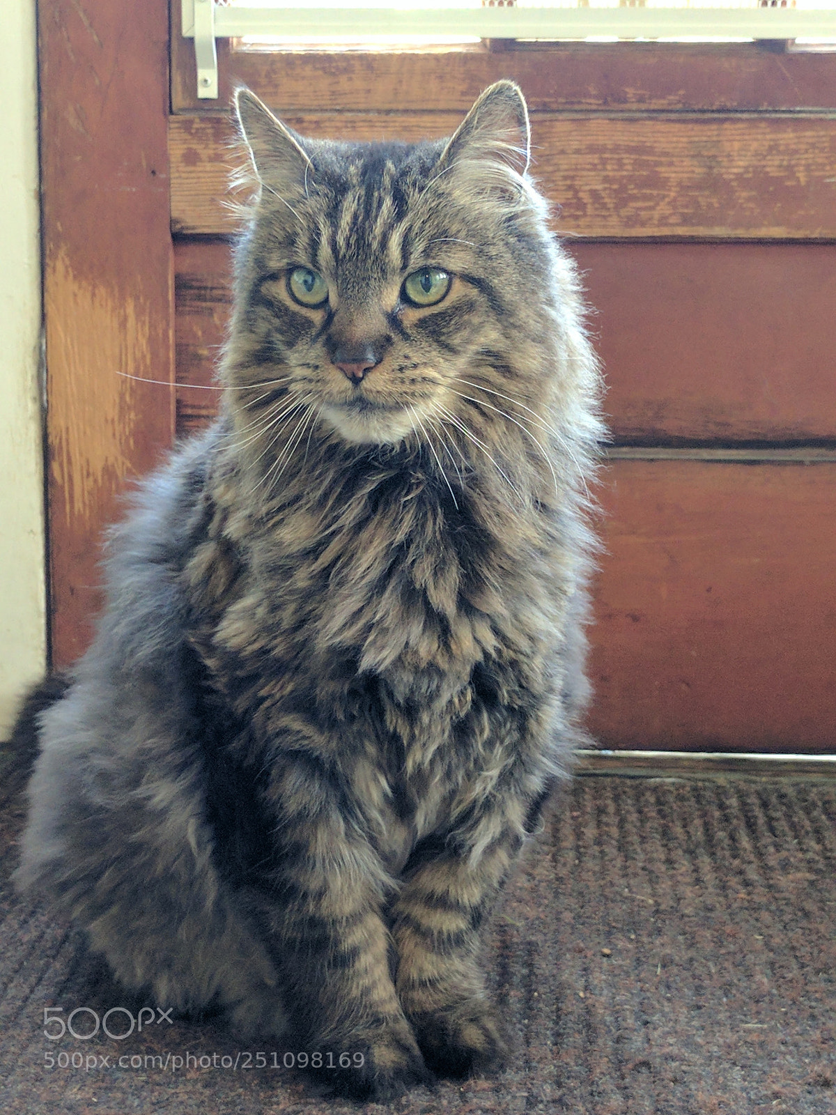 Google Pixel XL sample photo. Untitled photography