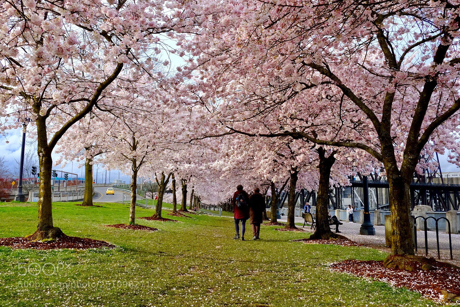 Fujifilm X-Pro2 sample photo. Springtime in portland  photography