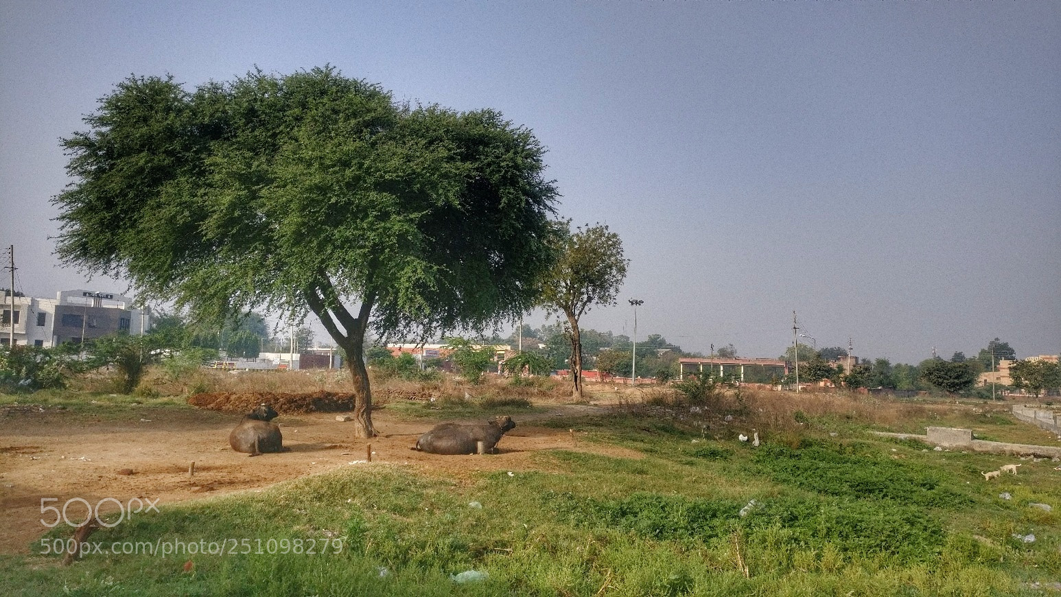 OnePlus A3003 sample photo. Relaxing ...... photography