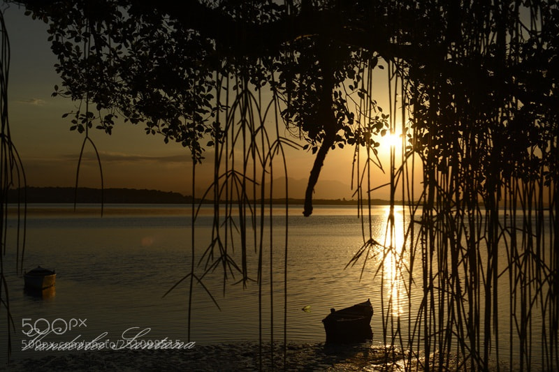 Nikon D7100 sample photo. Untitled photography