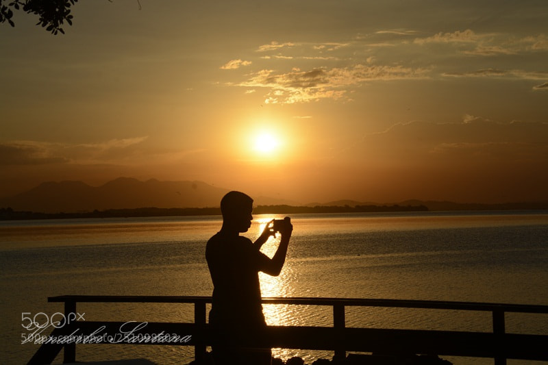 Nikon D7100 sample photo. Untitled photography