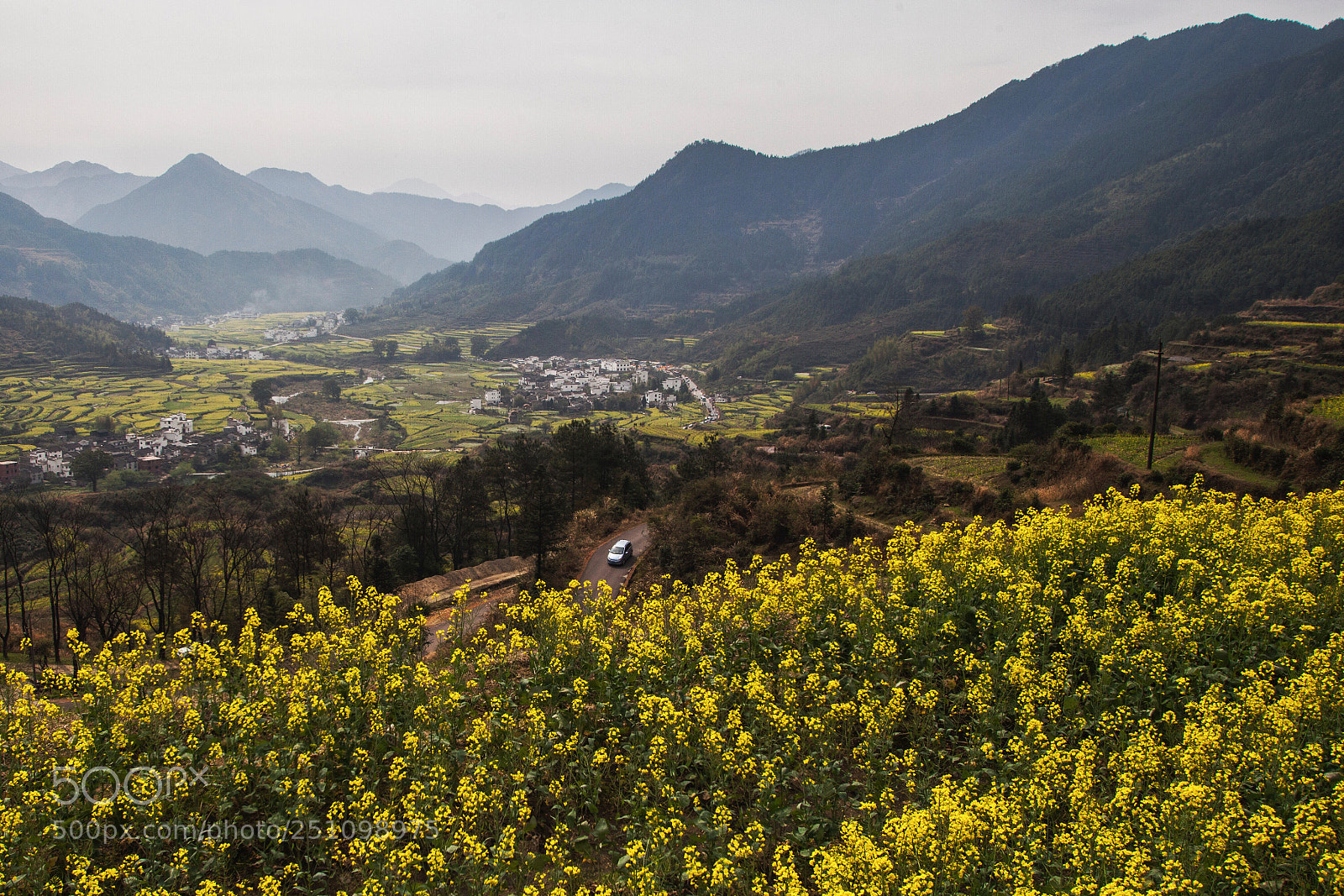 Canon EOS 5D Mark II sample photo. Untitled photography