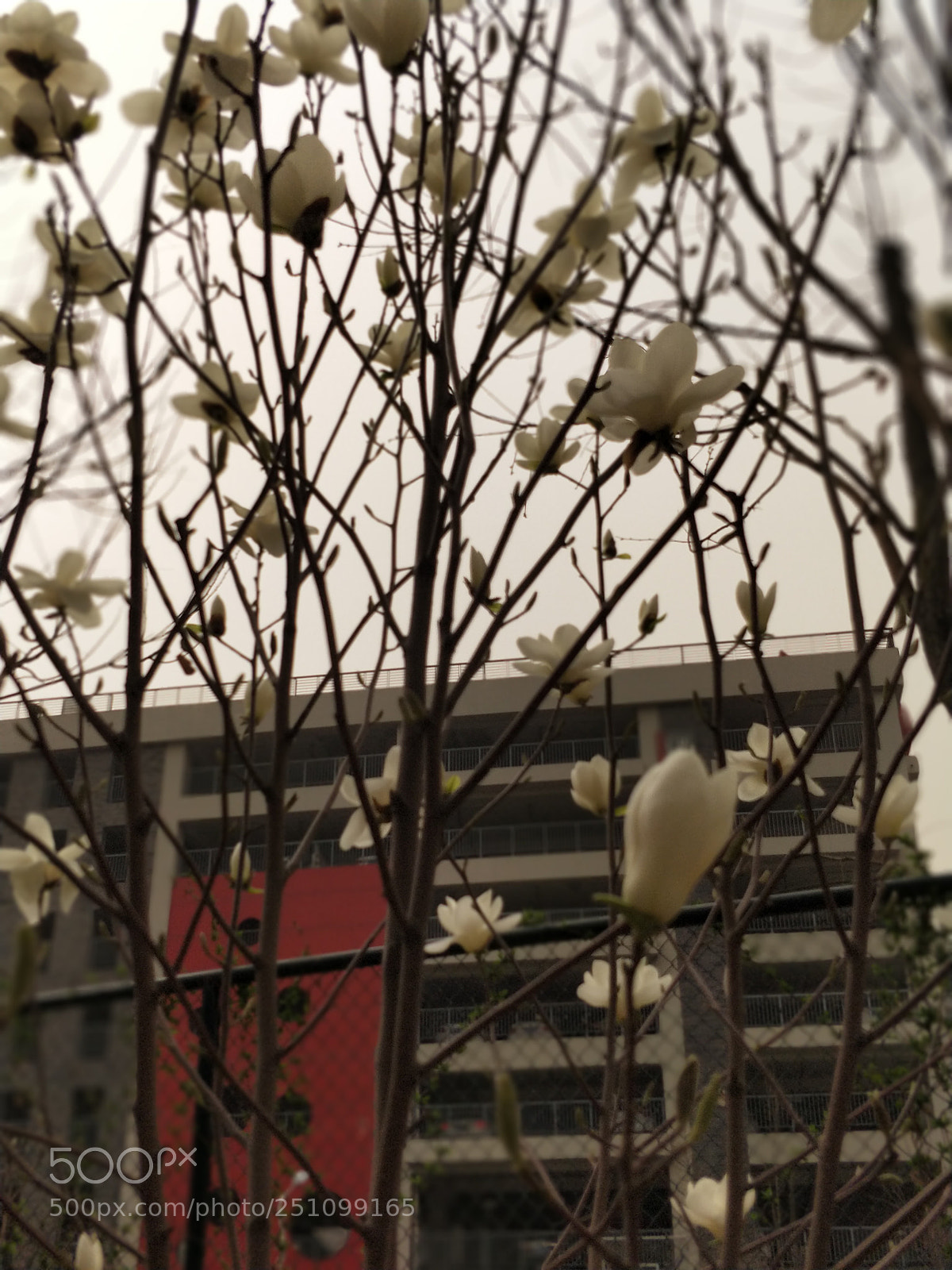 OnePlus 5 sample photo. Untitled photography