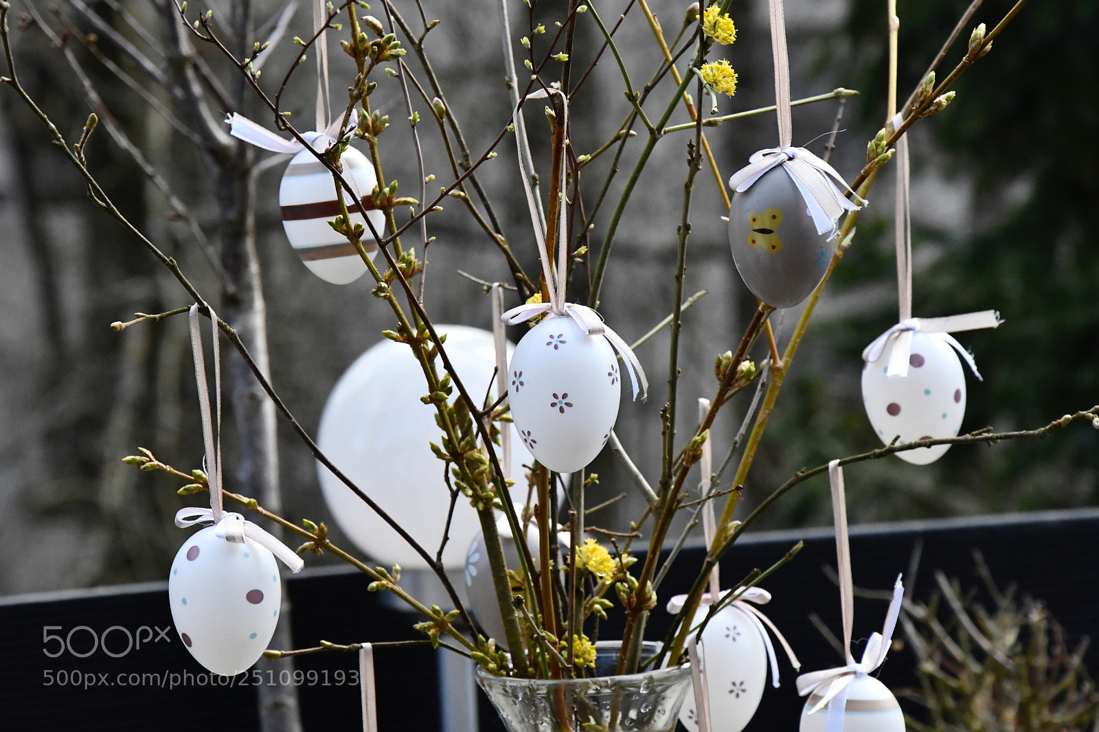 Nikon D7500 sample photo. Bw eggs photography