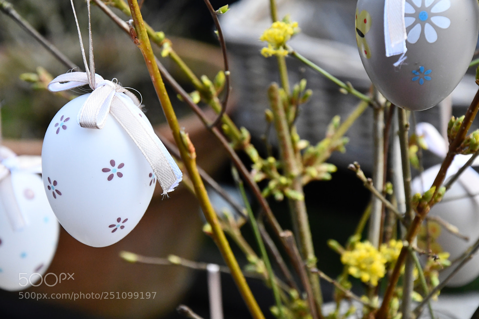 Nikon D7500 sample photo. White eggs yellow leaves photography