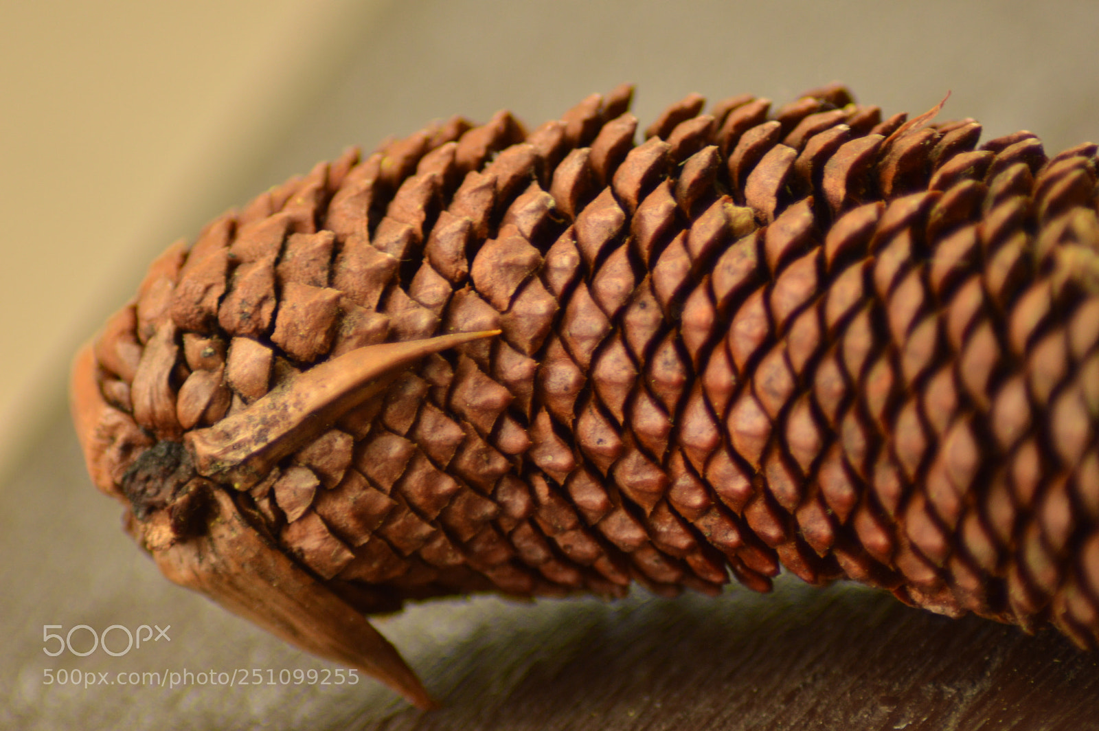 Nikon D3200 sample photo. Untitled photography
