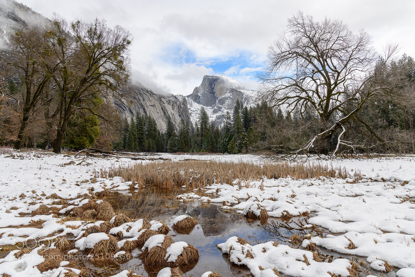 Nikon D850 sample photo. Cooks meadow halfdome reflection! photography
