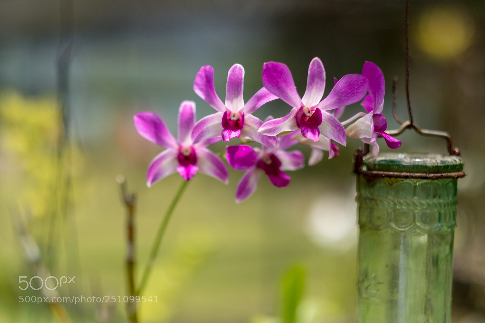 Fujifilm X-Pro2 sample photo. Panama photography