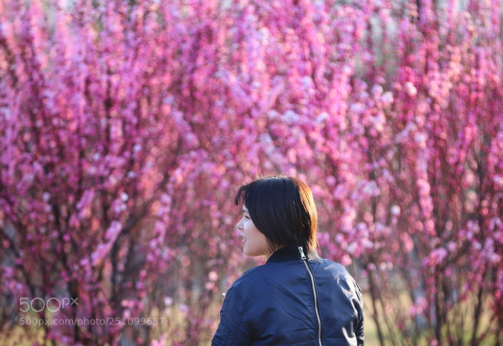 Canon EOS 6D Mark II sample photo. 榆叶梅 photography