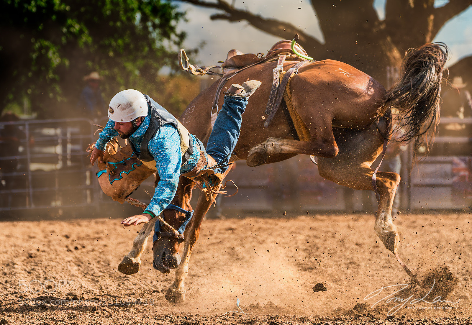 Sony a7R III sample photo. Fall down photography