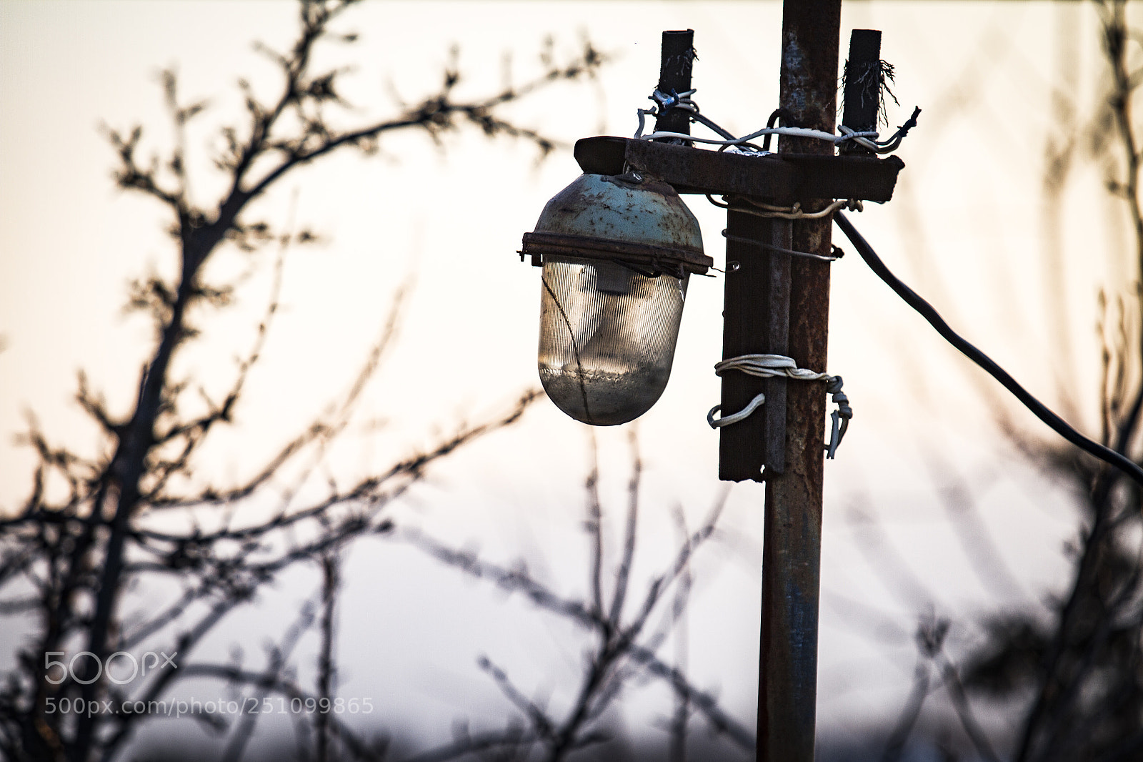 Canon EOS 7D sample photo. Img photography