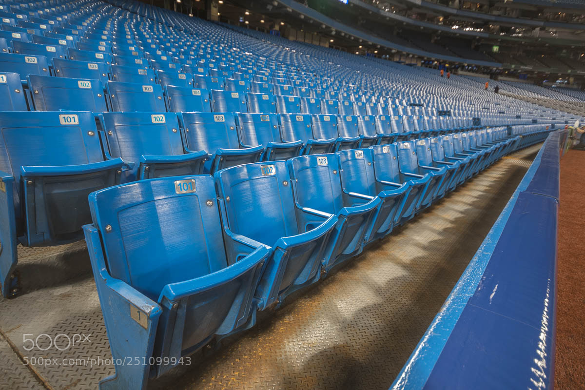 Nikon D7500 sample photo. Rogers centre in toronto photography