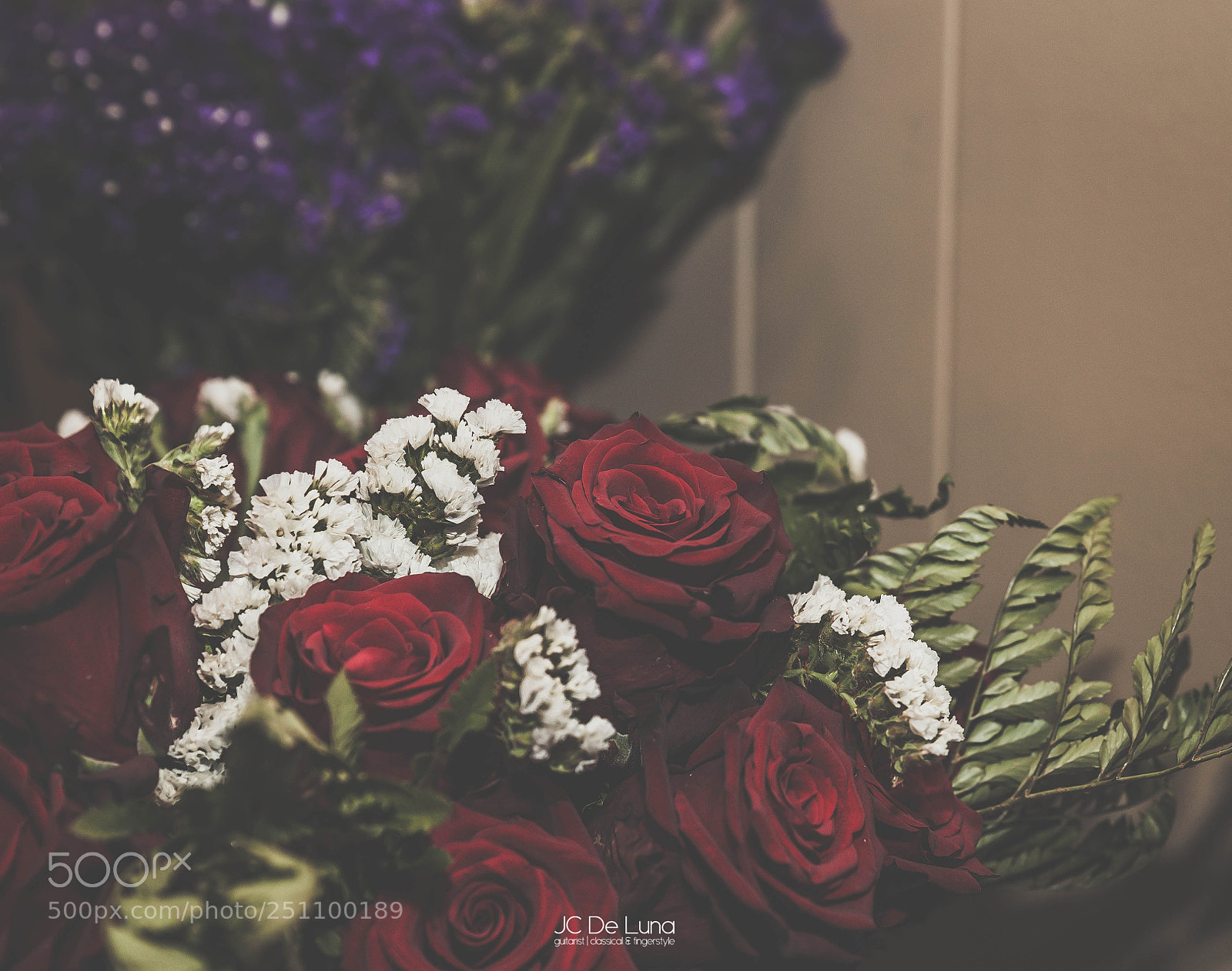 Canon EOS 5D Mark II sample photo. Roses photography