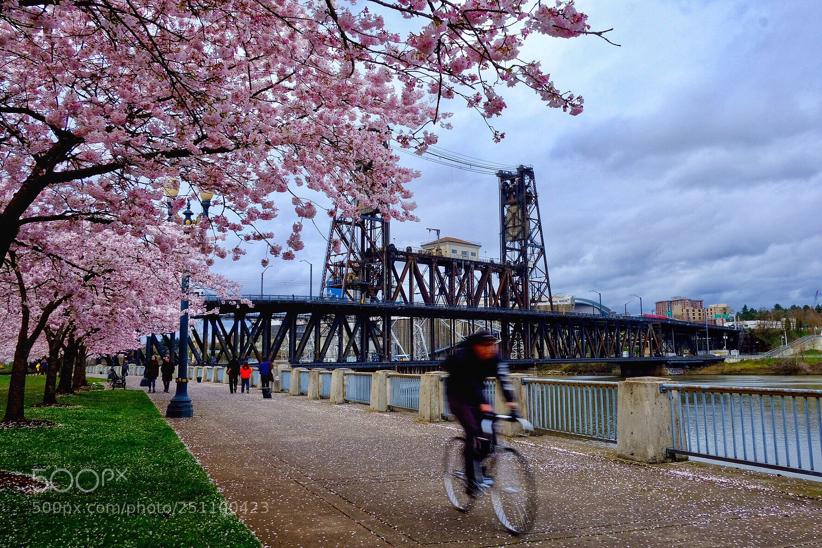 Fujifilm X-Pro2 sample photo. Springtime in portland  photography