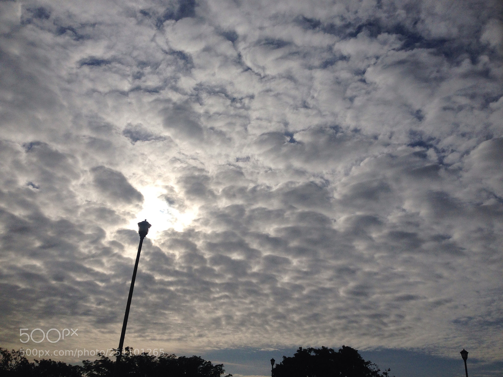 Apple iPhone 5 sample photo. I really love te photography