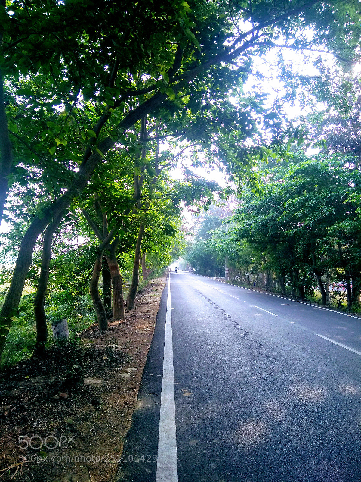 Motorola Moto G (5S) Plus sample photo. Untitled photography