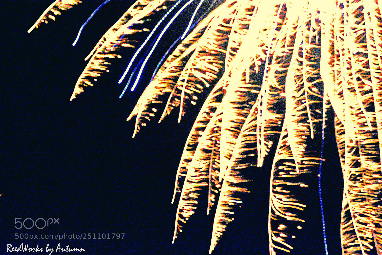Nikon D7100 sample photo. Light it up!  photography