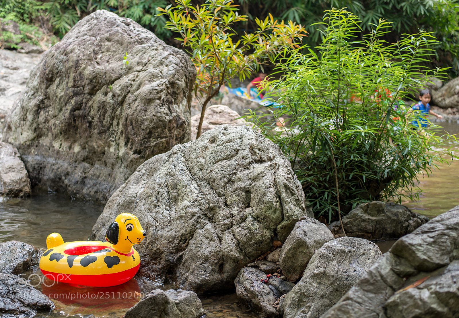 Nikon D610 sample photo. Hide and seek photography