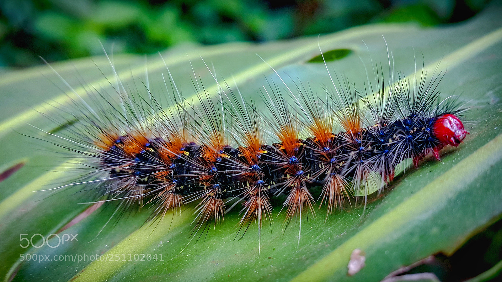 Samsung Galaxy Note4 sample photo. Nature at its best photography