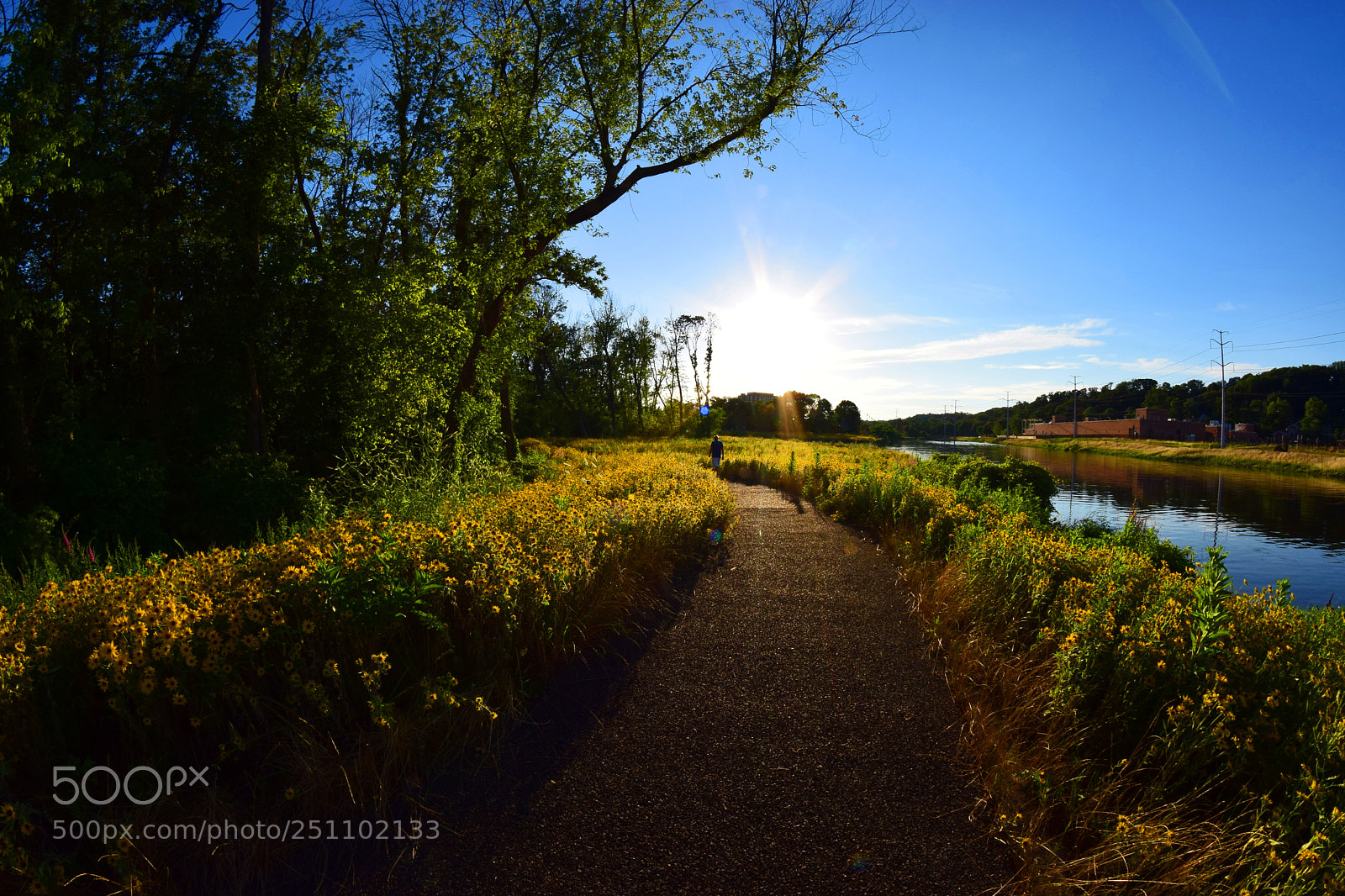 Nikon D5300 sample photo. Yellow road photography