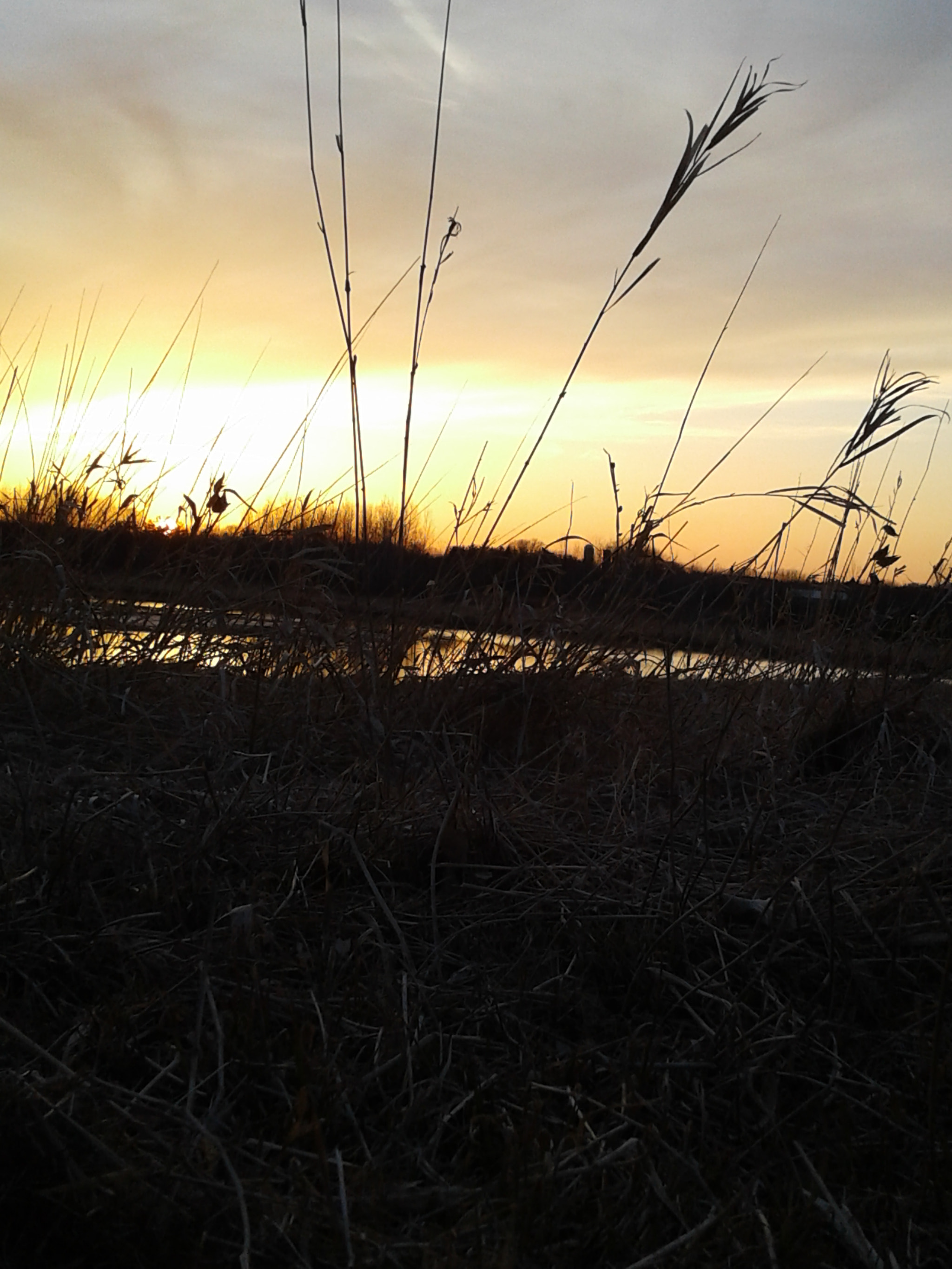 Samsung Galaxy On5 sample photo. Wisconsin sunset 4 photography