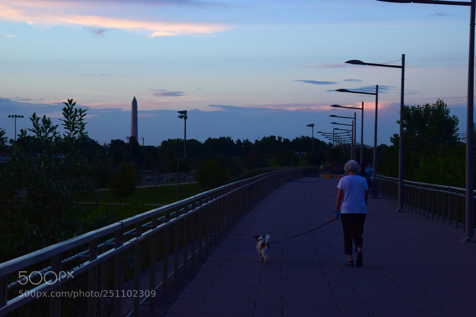 Nikon D5300 sample photo. Washington walkway photography