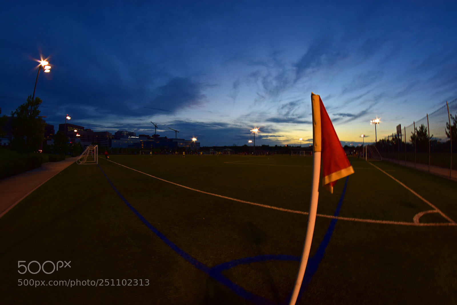 Nikon D5300 sample photo. Field flags photography