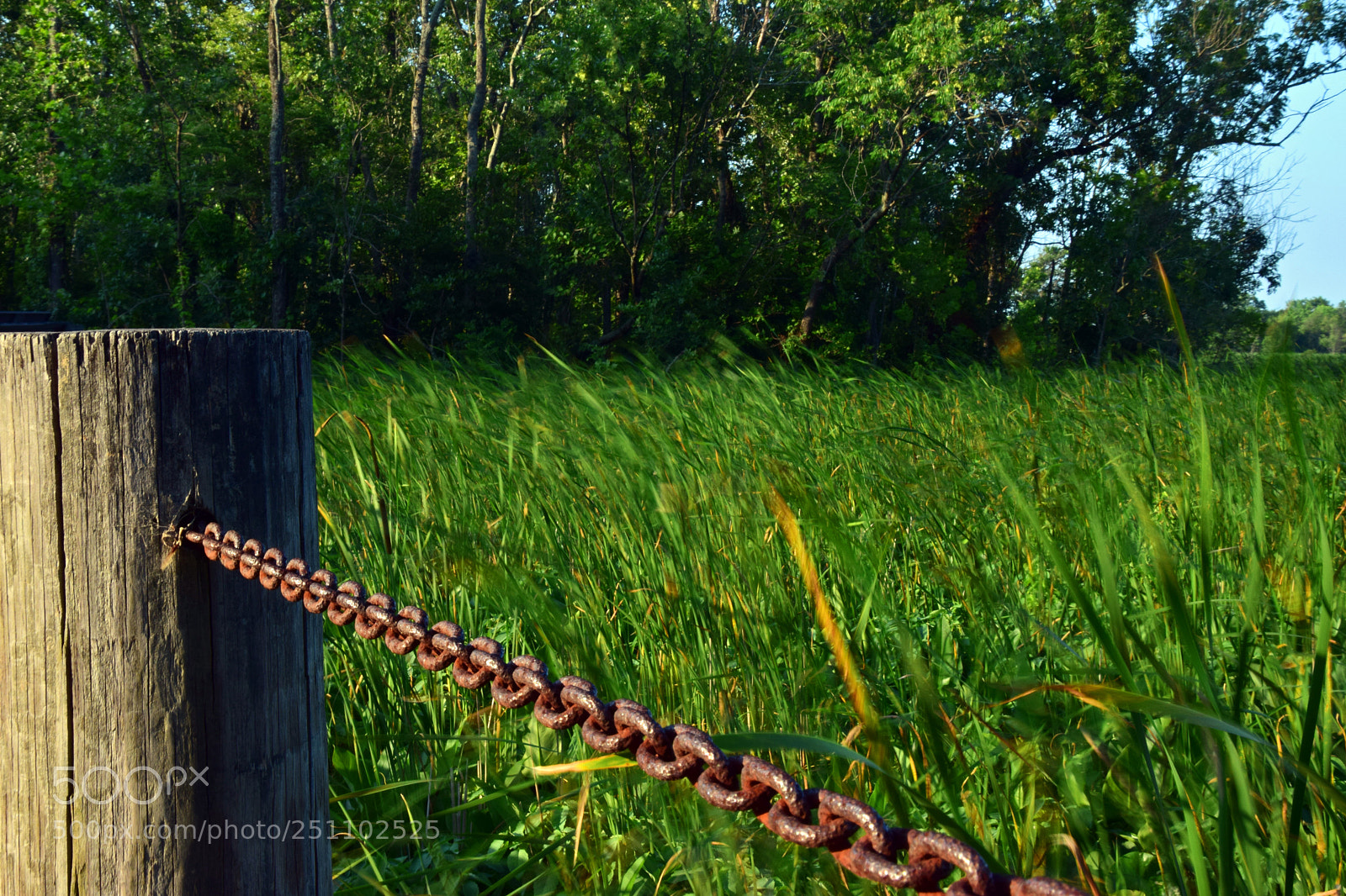 Nikon D5300 sample photo. Moving meadows photography