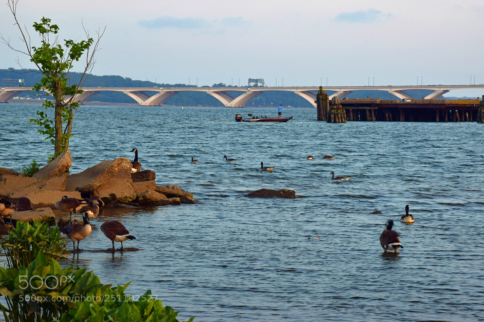 Nikon D5300 sample photo. Dusk and ducks photography