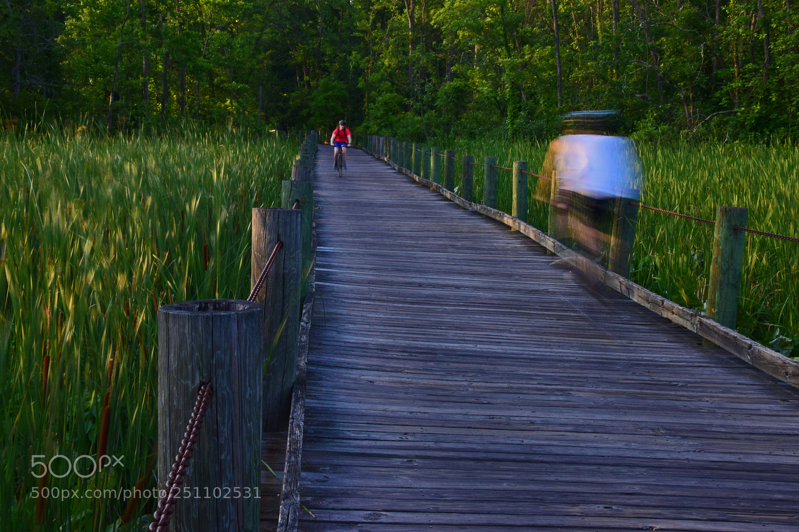 Nikon D5300 sample photo. Biker bridge ii photography