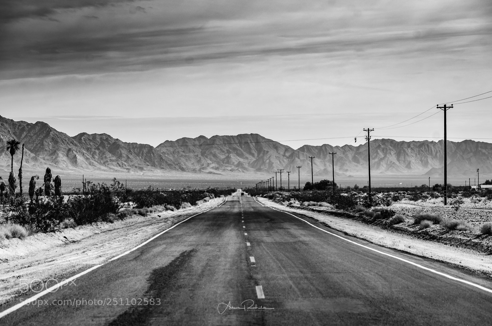 Nikon D5100 sample photo. Desert roadway photography