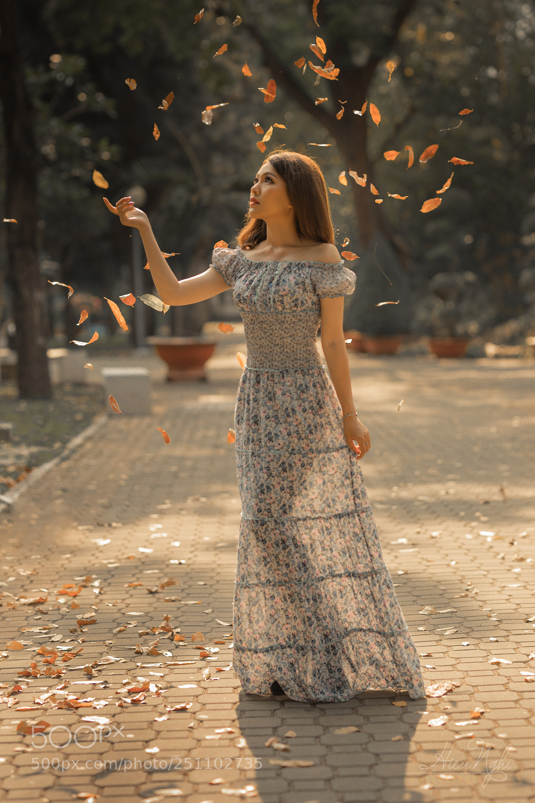 Canon EOS 5D Mark IV sample photo. Golden summer photography
