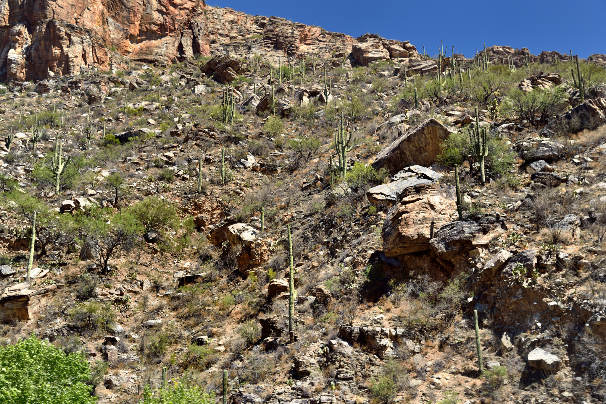 Nikon D800E + Nikon AF-S Nikkor 24-120mm F4G ED VR sample photo. A rugged hillside of rocks, boulders and saguaro cactus photography