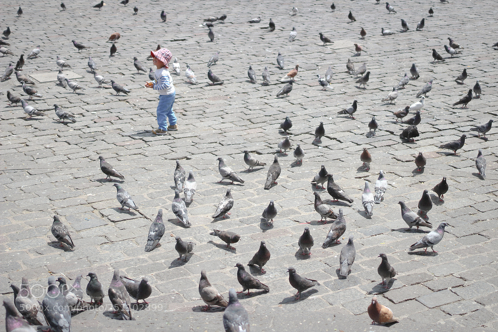 Canon EOS 100D (EOS Rebel SL1 / EOS Kiss X7) sample photo. Quito photography
