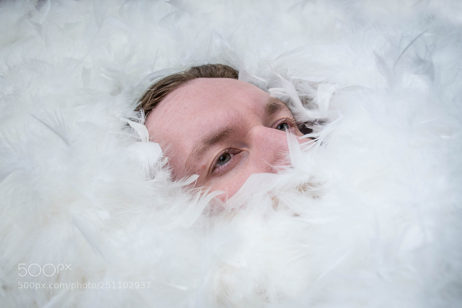 Nikon D7500 sample photo. The soft, fluffy embrace photography