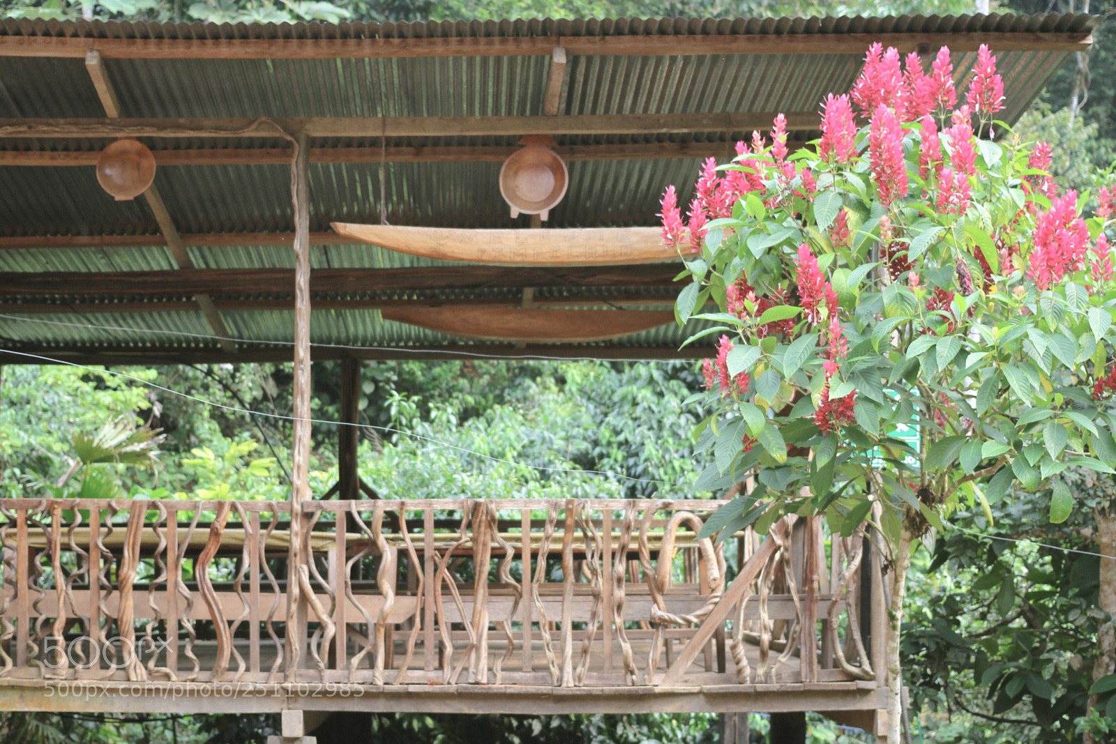 Canon EOS 100D (EOS Rebel SL1 / EOS Kiss X7) sample photo. Amazon rainforest photography