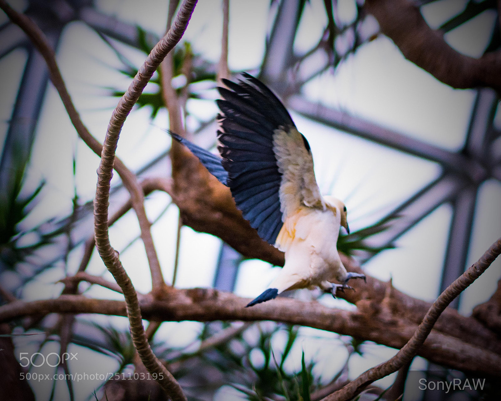 Sony a6500 sample photo. Final approach photography