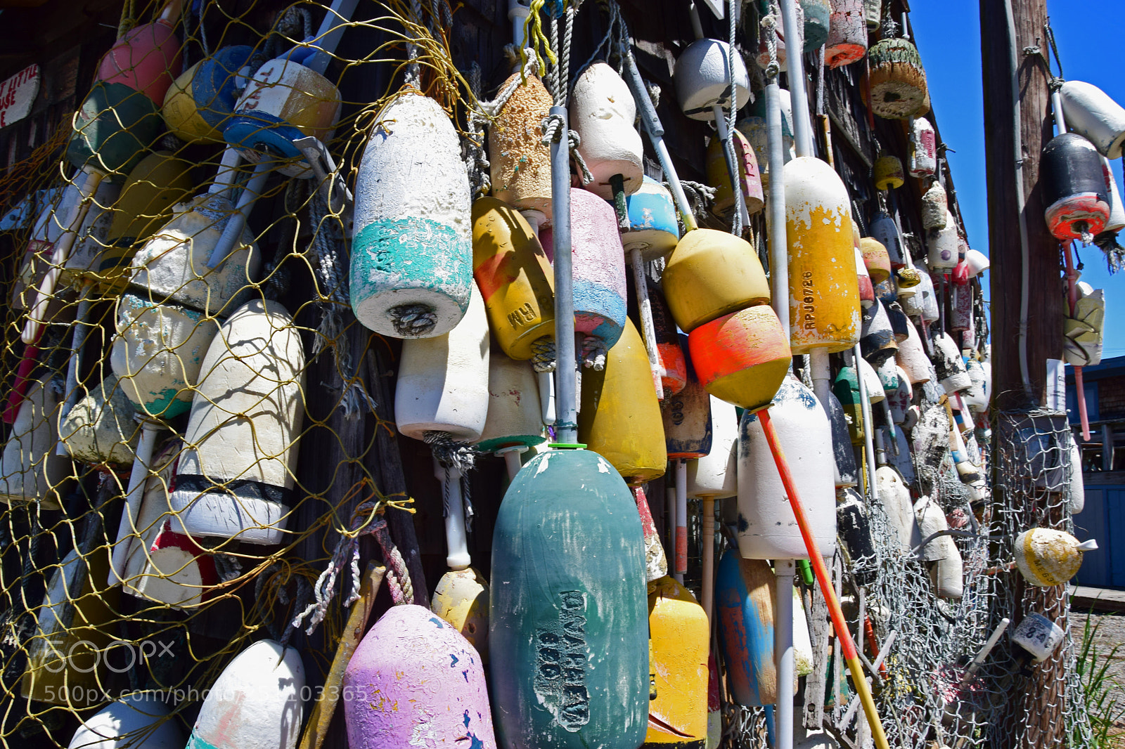 Nikon D5300 sample photo. Buoys photography