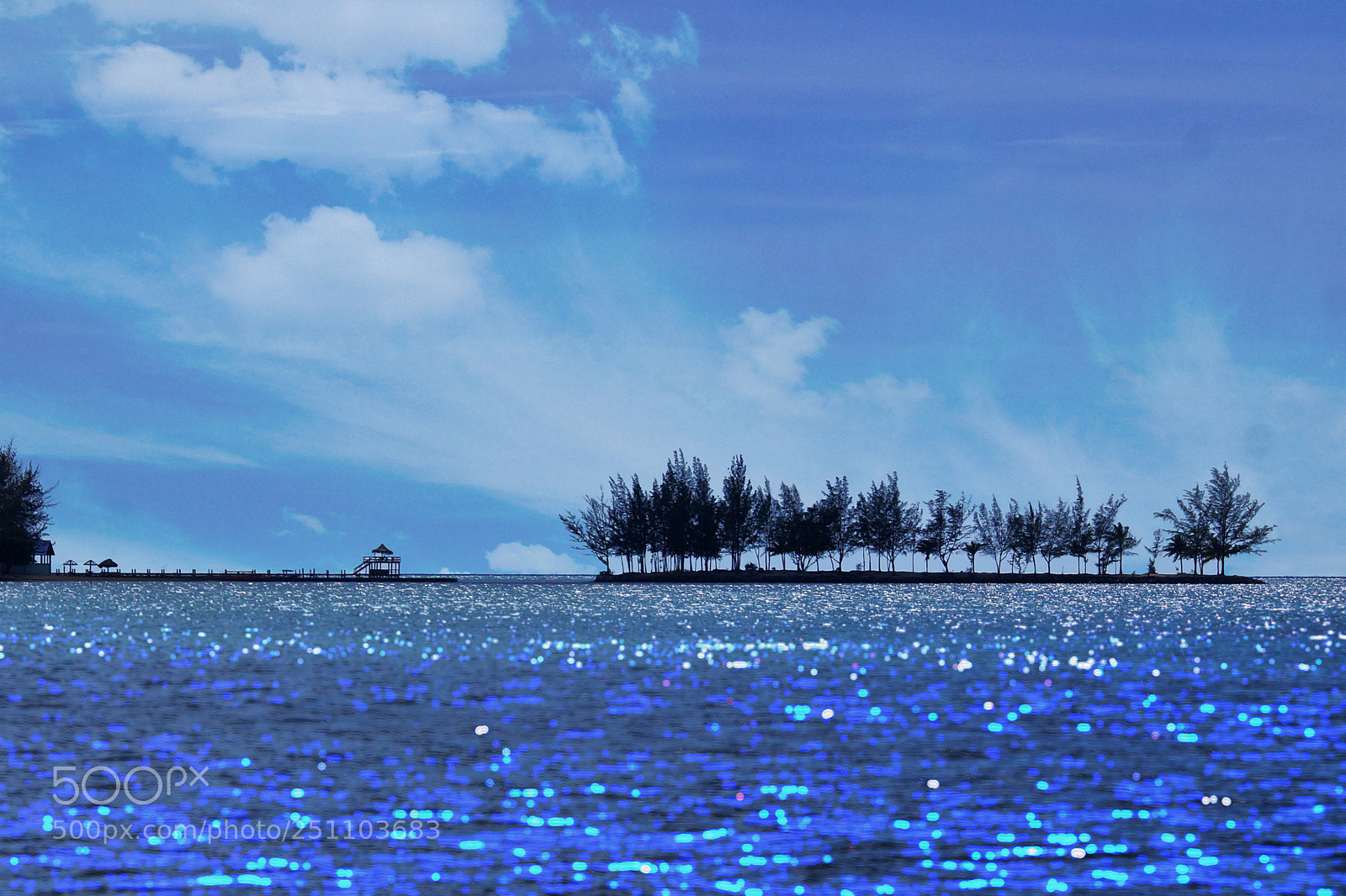 Sony SLT-A57 sample photo. Blue against blue photography