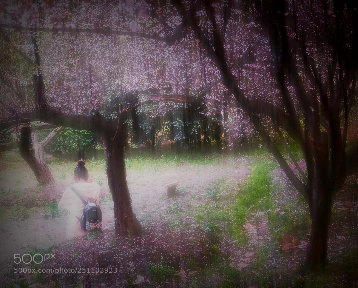 Nikon D300 sample photo. 春天繁华树下 photography
