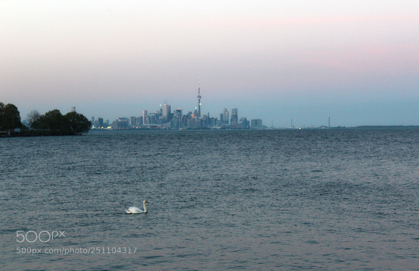 Canon EOS 1200D (EOS Rebel T5 / EOS Kiss X70 / EOS Hi) sample photo. City swan photography
