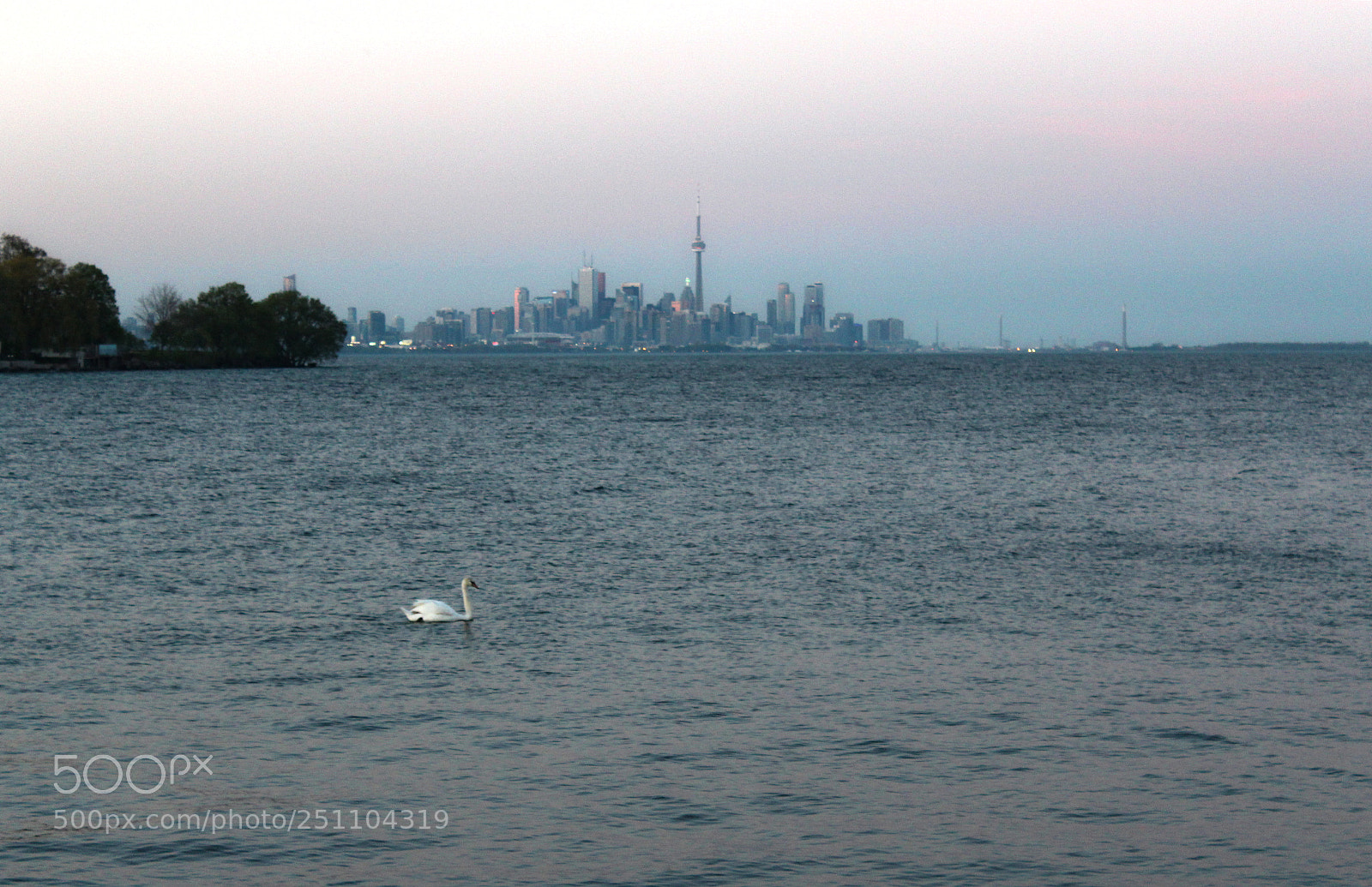 Canon EOS 1200D (EOS Rebel T5 / EOS Kiss X70 / EOS Hi) sample photo. City swan photography
